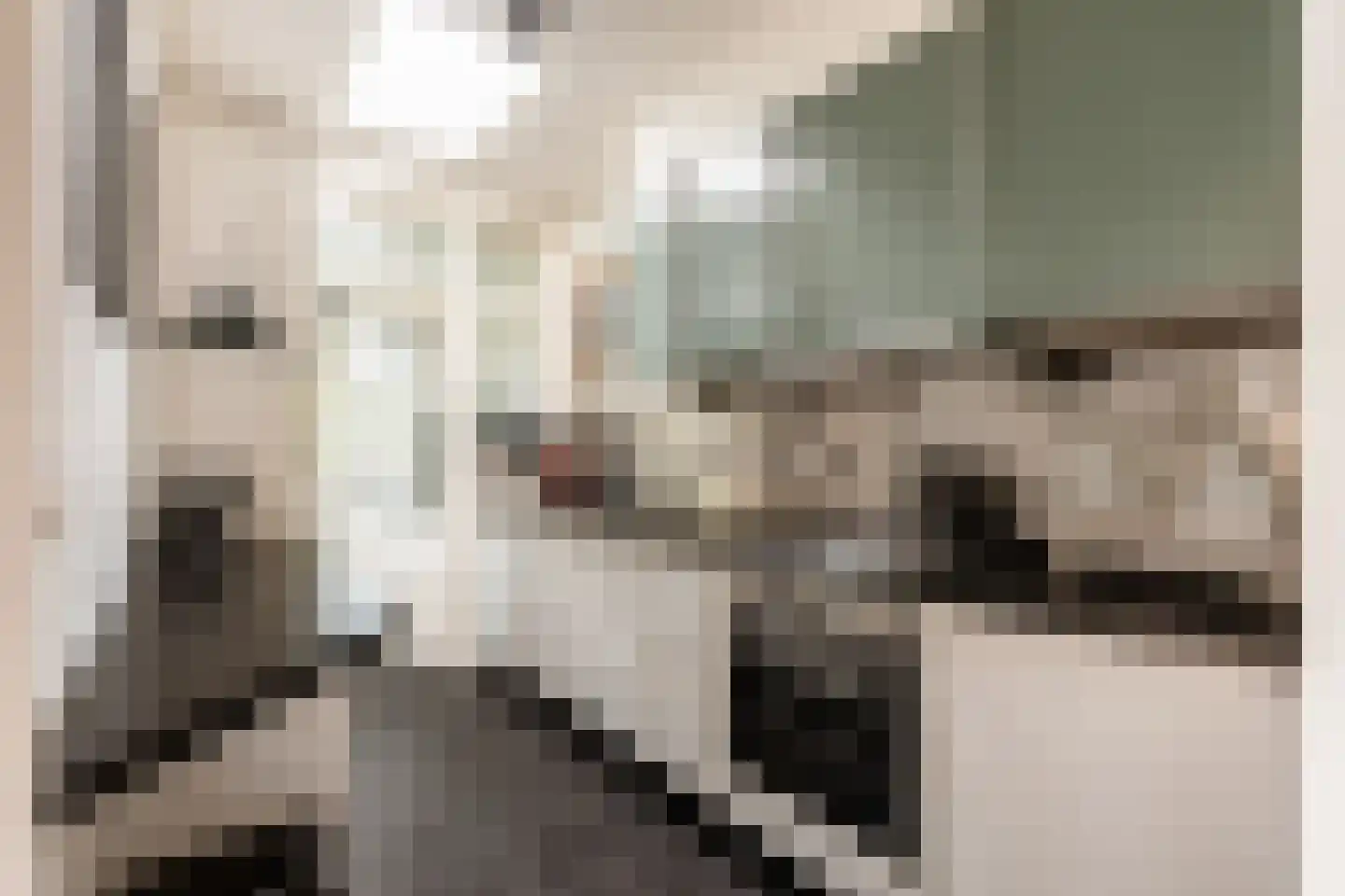 Van Raephorststraat 7 Haarlem thumbnail 4