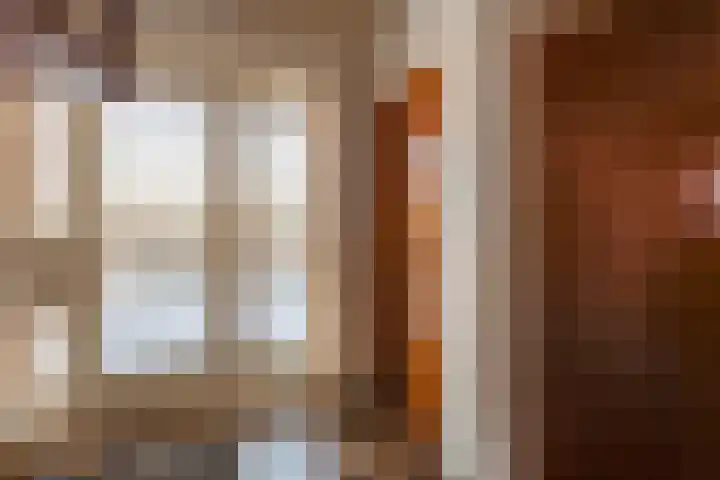 van Raesfeltstraat 40 Lichtenvoorde thumbnail 22