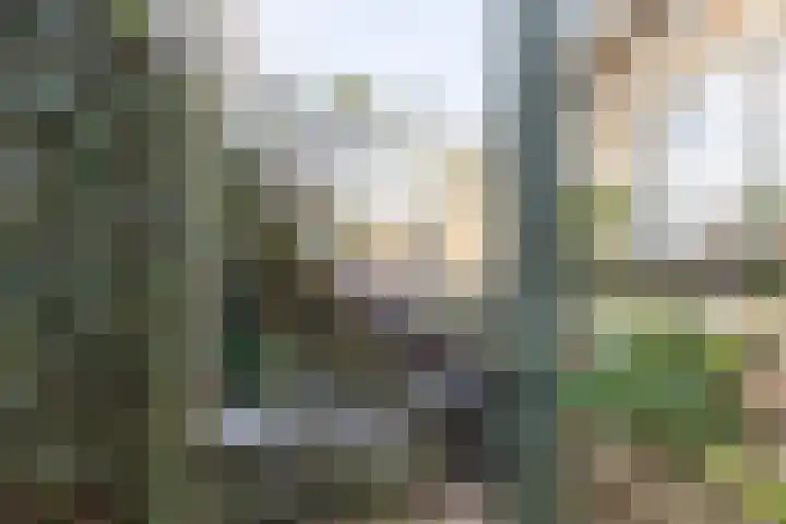 van Raesfeltstraat 40 Lichtenvoorde thumbnail 44