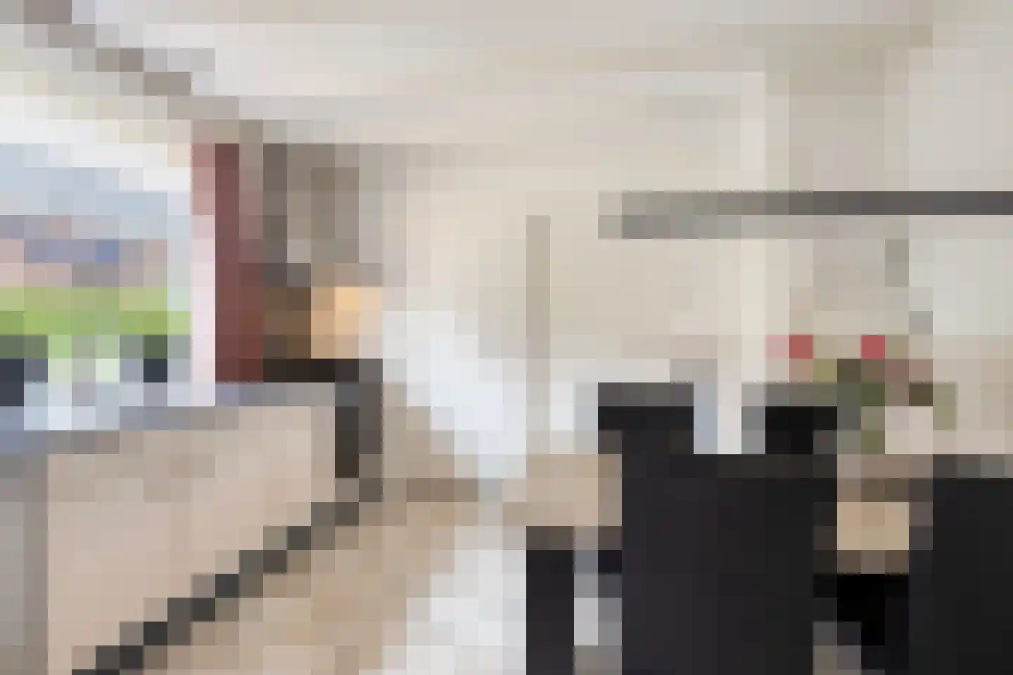 van Raesfeltstraat 5 Lichtenvoorde thumbnail 10