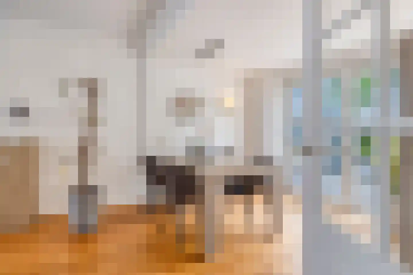 van Raesfeltstraat 5 Lichtenvoorde thumbnail 11