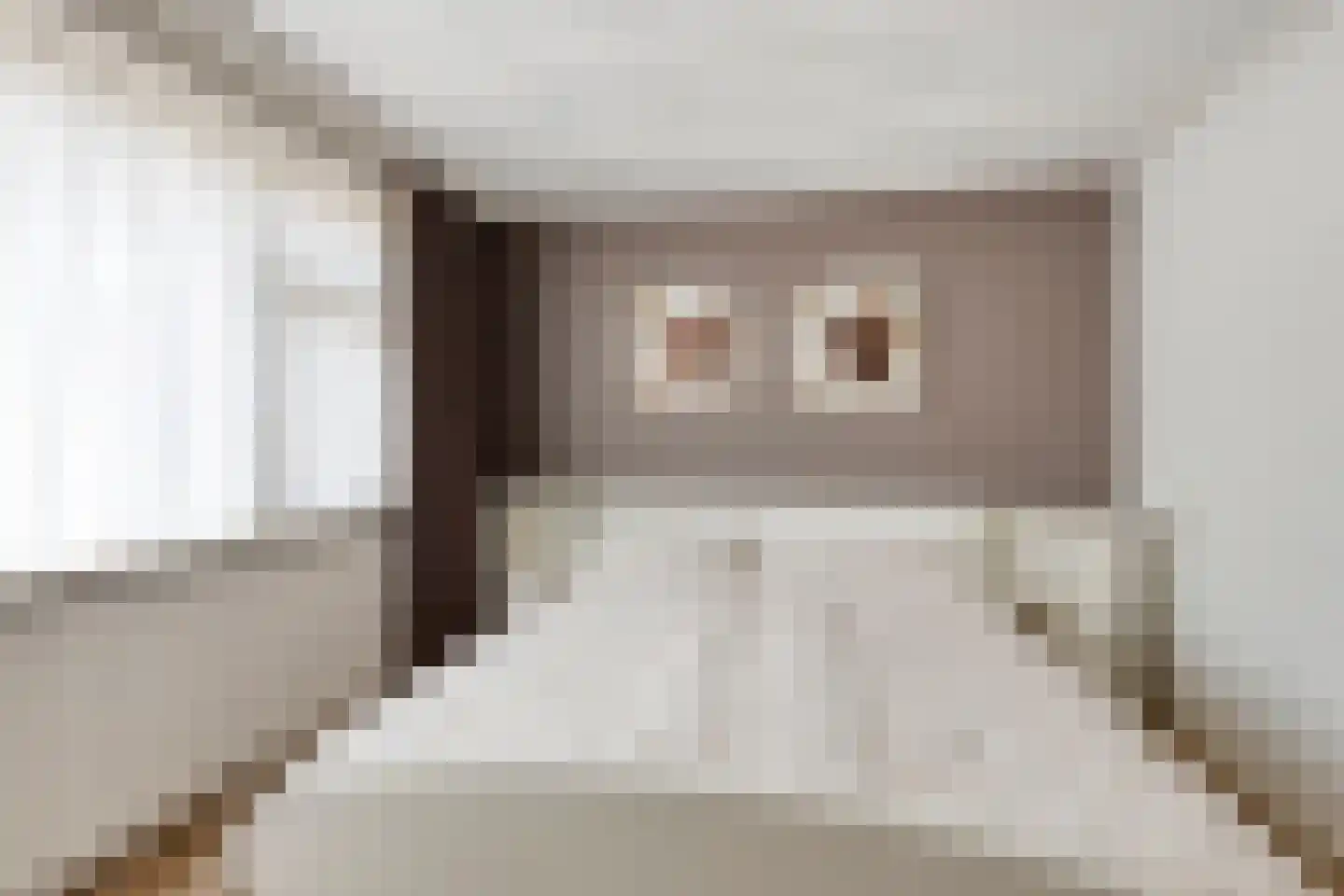 van Raesfeltstraat 5 Lichtenvoorde thumbnail 22