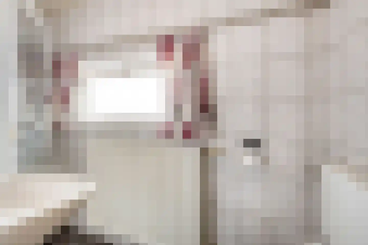 van Raesfeltstraat 5 Lichtenvoorde thumbnail 26