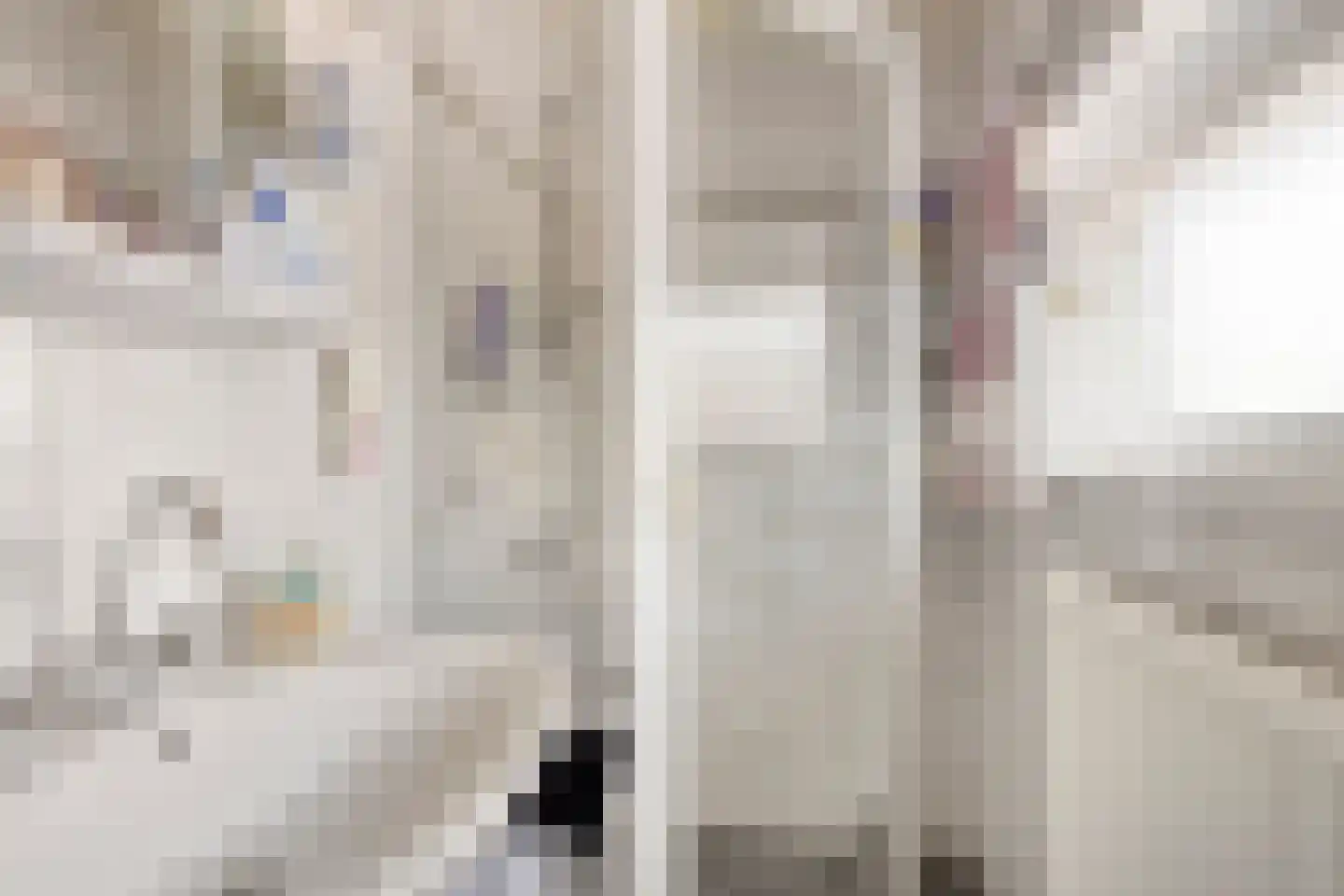 van Raesfeltstraat 5 Lichtenvoorde thumbnail 27