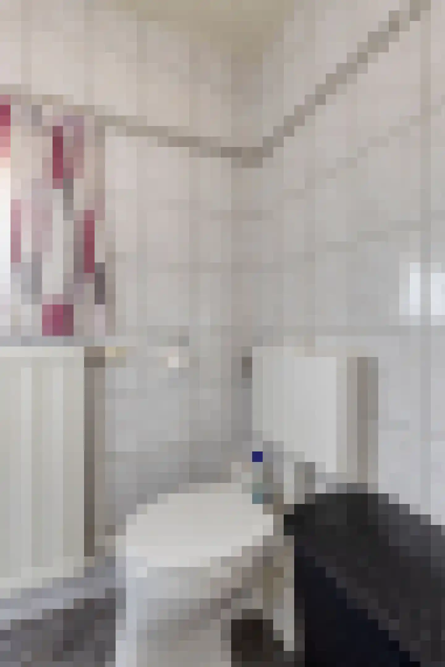 van Raesfeltstraat 5 Lichtenvoorde thumbnail 28