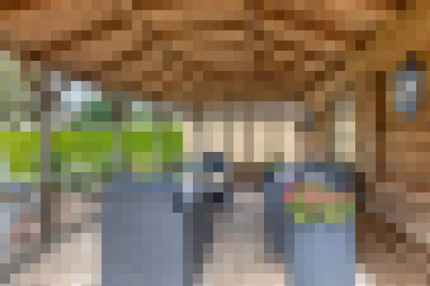 van Raesfeltstraat 5 Lichtenvoorde thumbnail 30