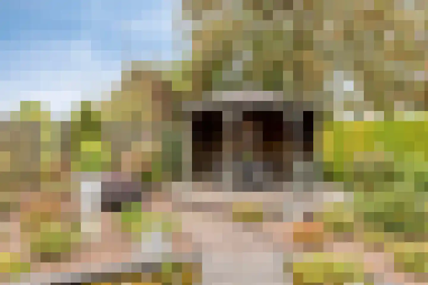 van Raesfeltstraat 5 Lichtenvoorde thumbnail 32