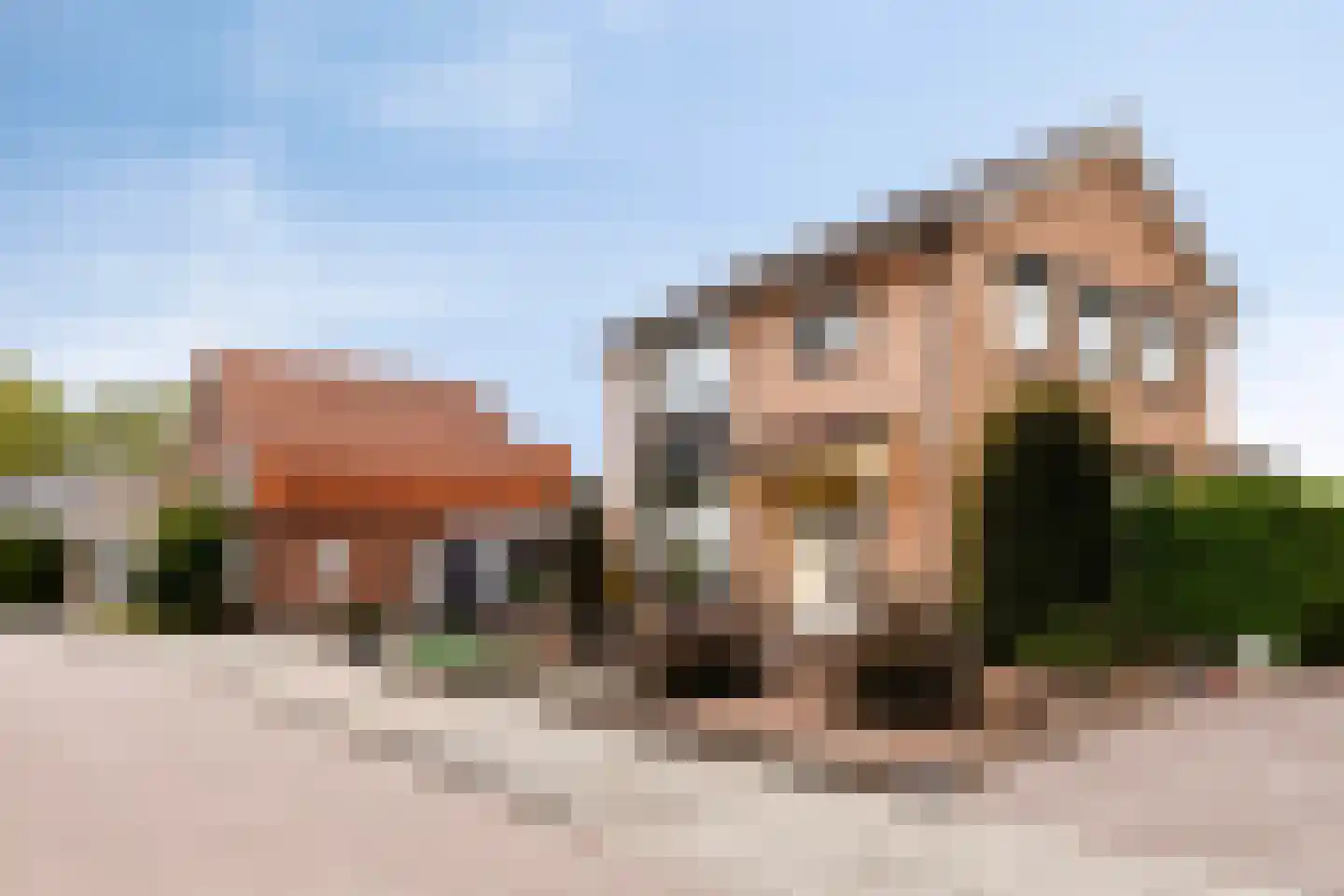 van Raesfeltstraat 5 Lichtenvoorde thumbnail 35