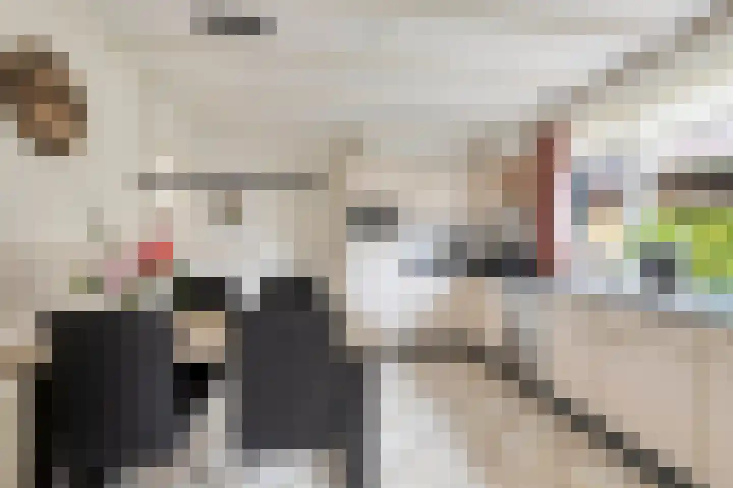 van Raesfeltstraat 5 Lichtenvoorde thumbnail 8