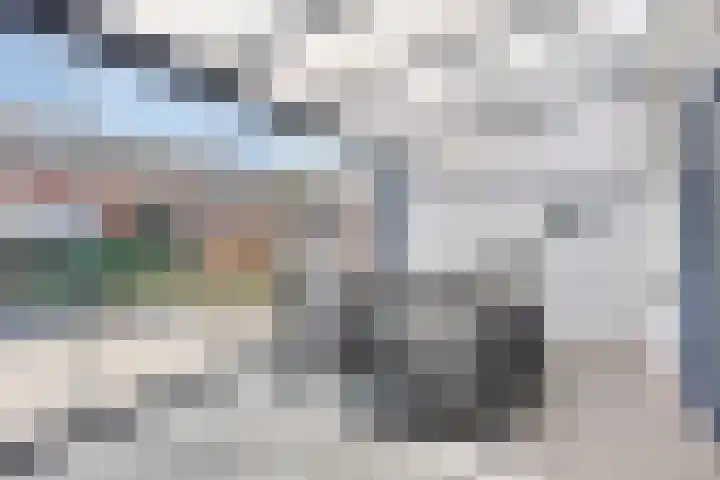 van Randerodestraat 79 Boxtel thumbnail 21
