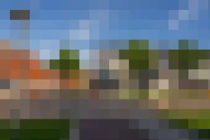 Van Randwijcklaan 103 A Amersfoort thumbnail 13