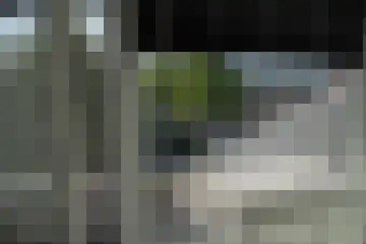 Van Randwijcklaan 103 A Amersfoort thumbnail 17