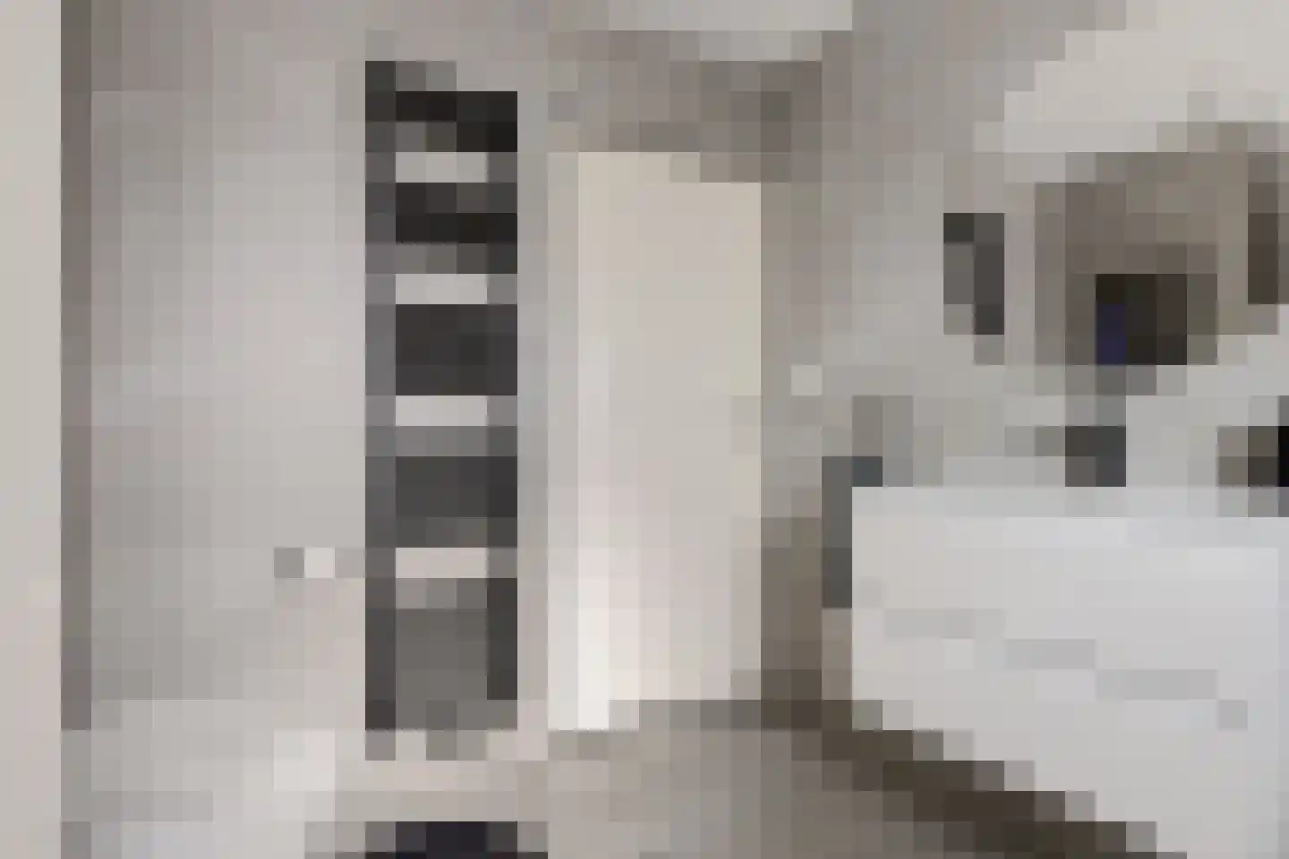 Van Randwijcklaan 103 A Amersfoort thumbnail 21