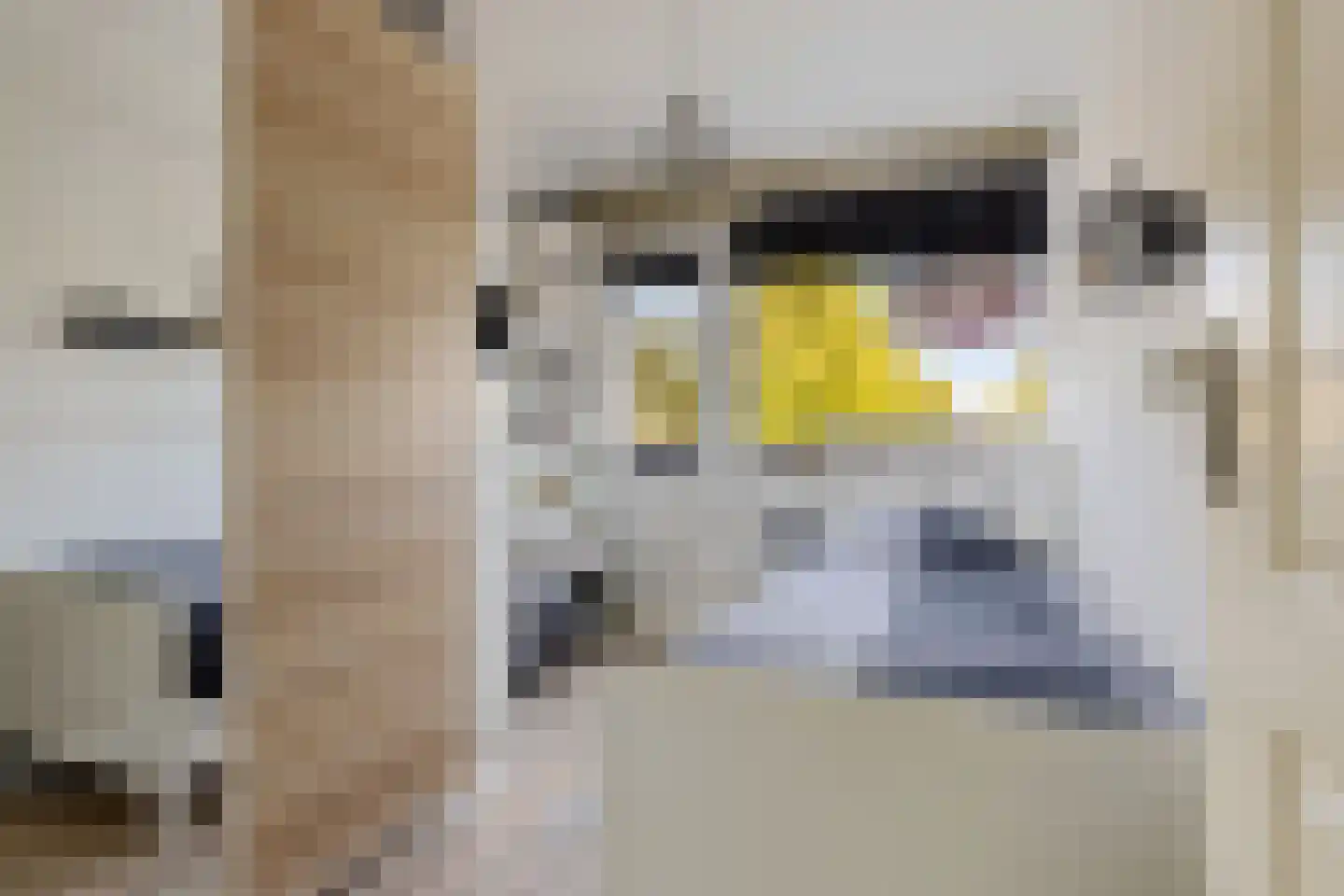 Van Randwijcklaan 103 A Amersfoort thumbnail 23