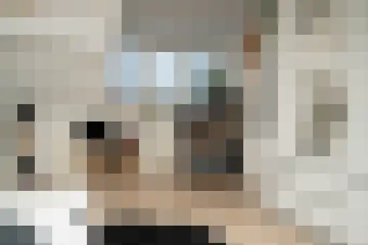 Van Randwijcklaan 103 A Amersfoort thumbnail 38