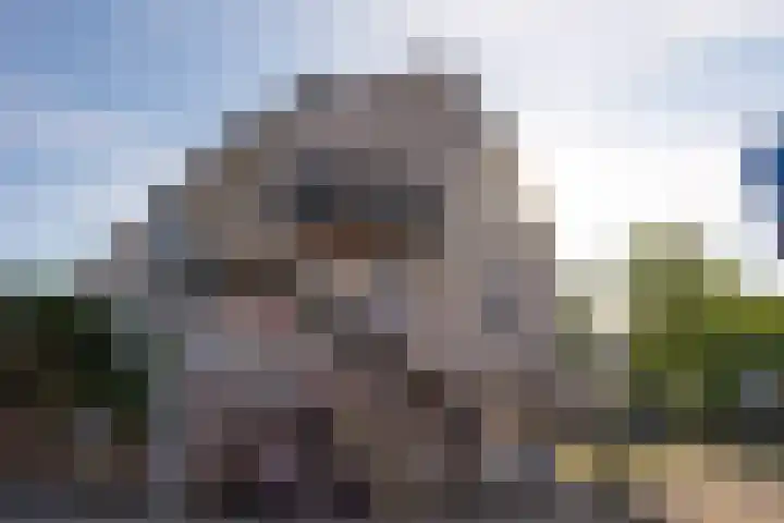 Van Randwijcklaan 103 A Amersfoort thumbnail 9