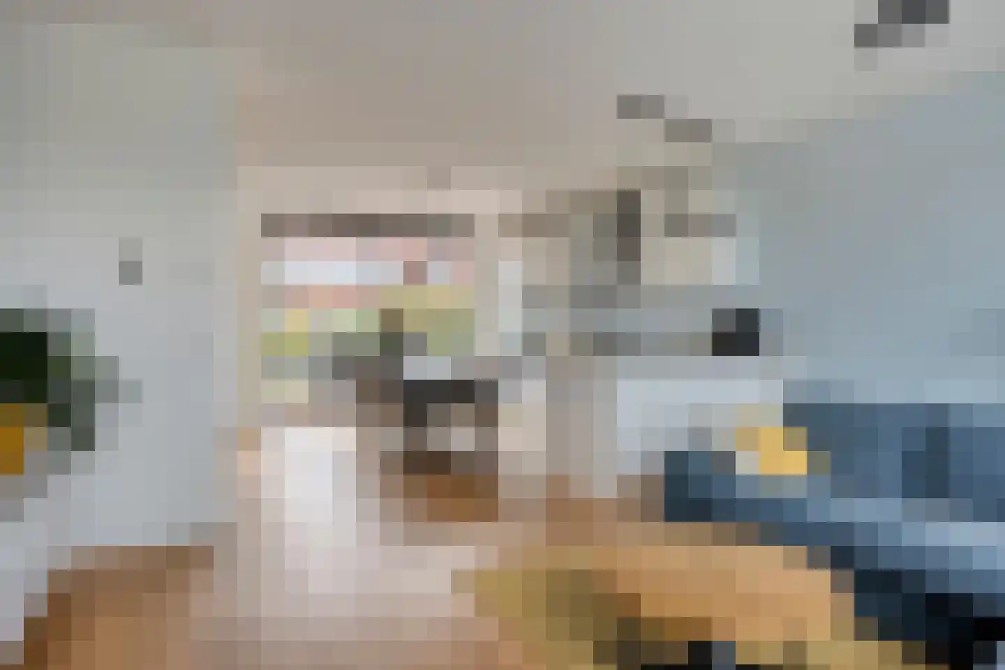 Van Randwijcklaan 111 F Amersfoort thumbnail 15