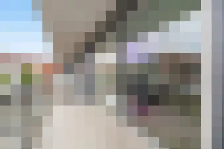 Van Randwijcklaan 121 Amersfoort thumbnail 23