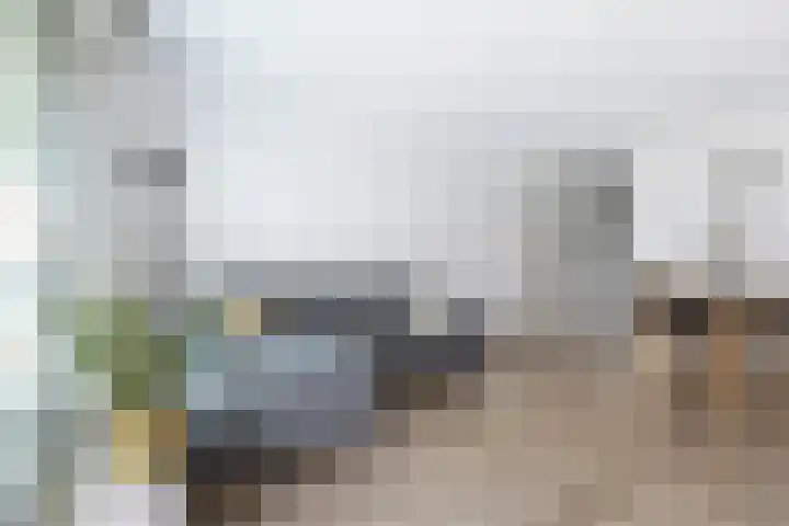 Van Randwijcklaan 121 Amersfoort thumbnail 24