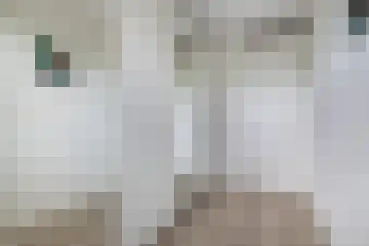 Van Randwijcklaan 121 Amersfoort thumbnail 38