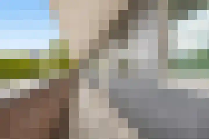 Van Randwijcklaan 121 Amersfoort thumbnail 7