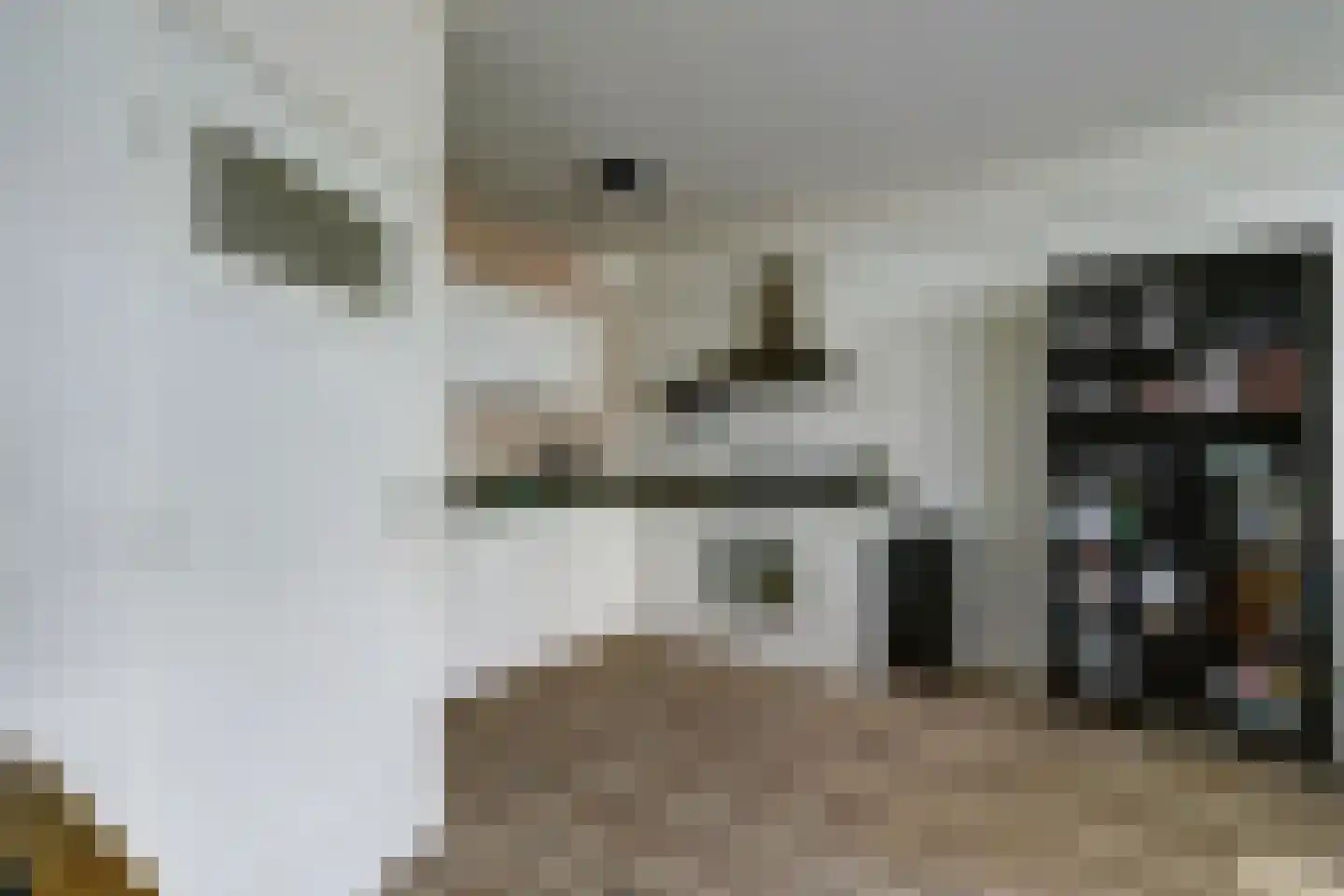Van Randwijcklaan 55 B Amersfoort thumbnail 15