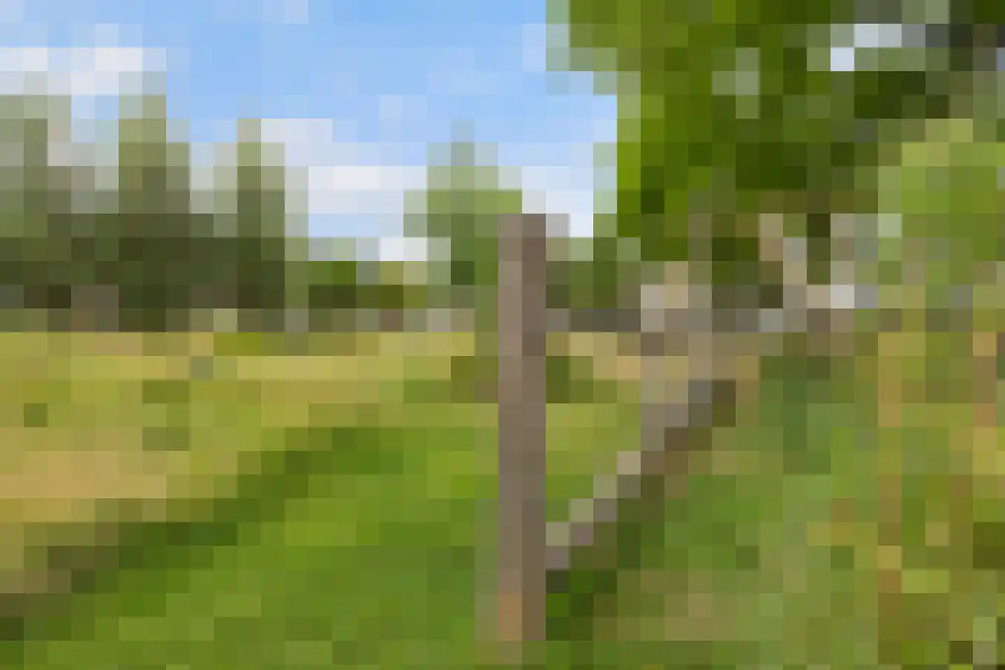 Van Randwijcklaan 61 C Amersfoort thumbnail 33