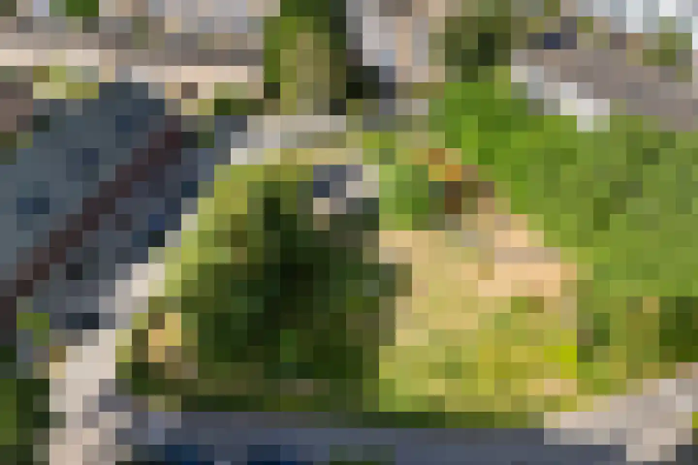 Van Randwijcklaan 61 C Amersfoort thumbnail 38