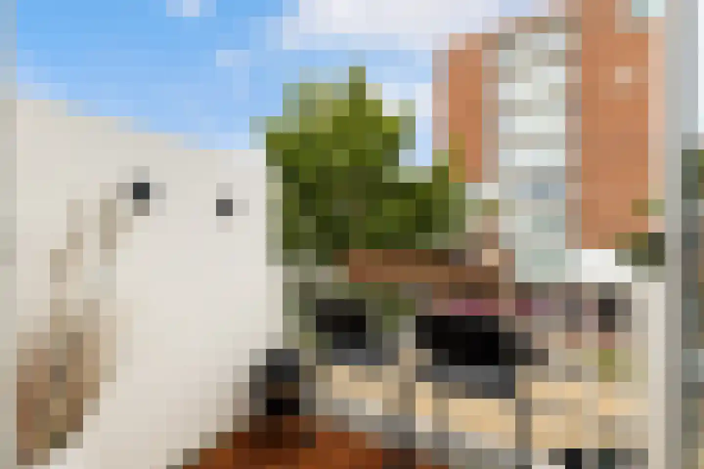 Van Randwijcklaan 61 C Amersfoort thumbnail 5