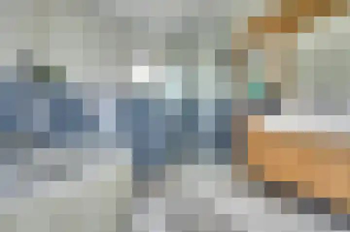 van Randwijckstraat 15 Yerseke thumbnail 12
