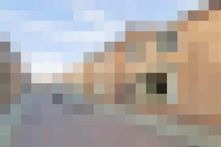 van Randwijckstraat 15 Yerseke thumbnail 18