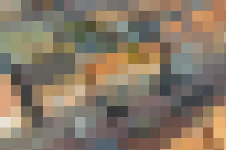 van Randwijckstraat 15 Yerseke thumbnail 23