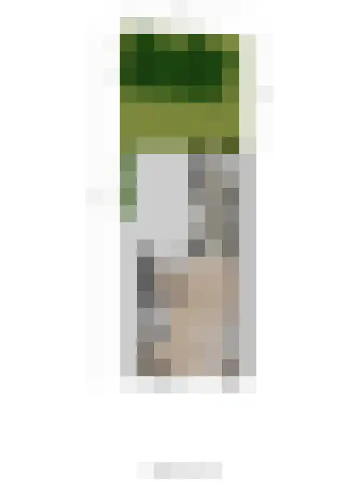van Randwijckstraat 15 Yerseke thumbnail 31