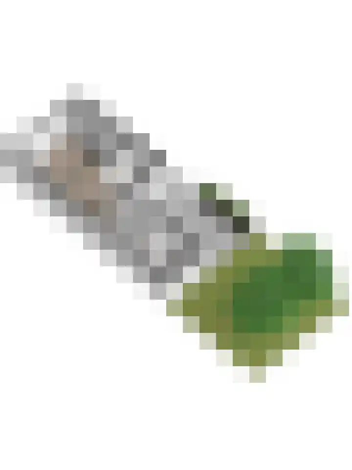 van Randwijckstraat 15 Yerseke thumbnail 32