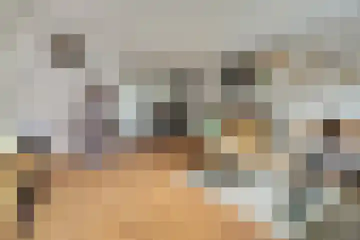 van Randwijckstraat 15 Yerseke thumbnail 7