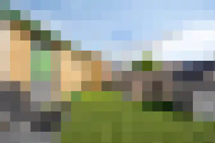 van Randwijckstraat 19 Yerseke thumbnail 18