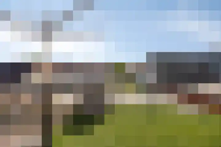 van Randwijckstraat 19 Yerseke thumbnail 19