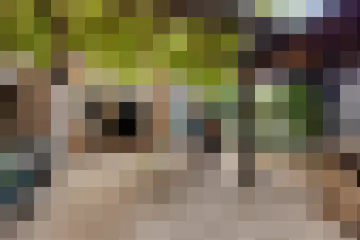 van Randwijckstraat 19 Yerseke thumbnail 20