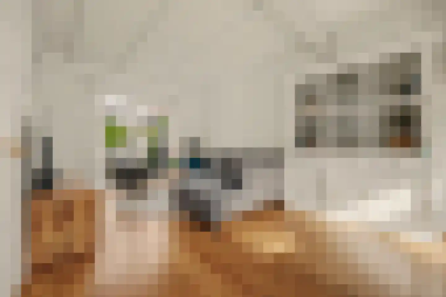van Randwijckstraat 32 Yerseke thumbnail 11