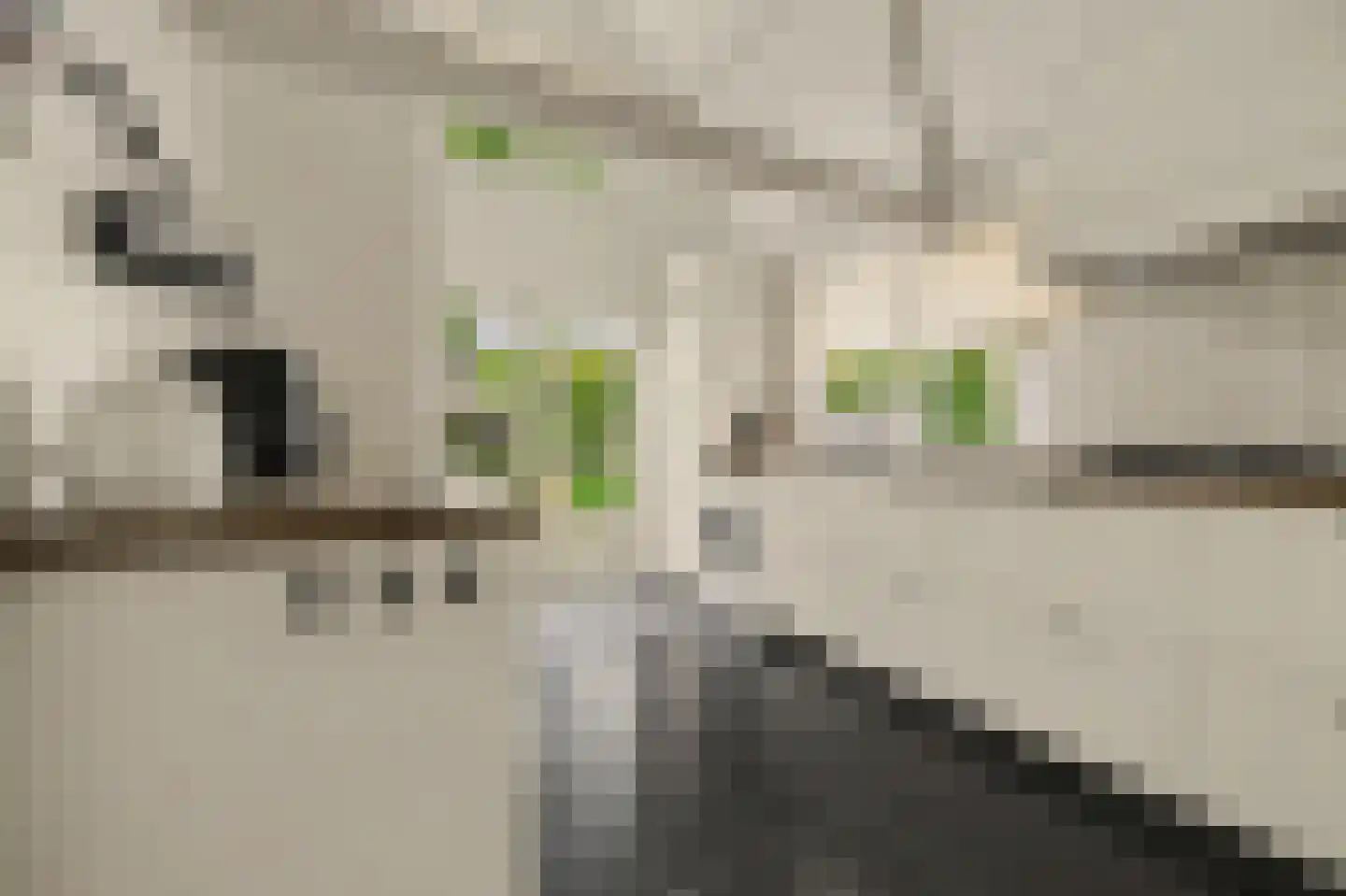 van Randwijckstraat 32 Yerseke thumbnail 19