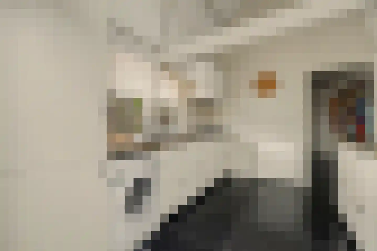 van Randwijckstraat 32 Yerseke thumbnail 20
