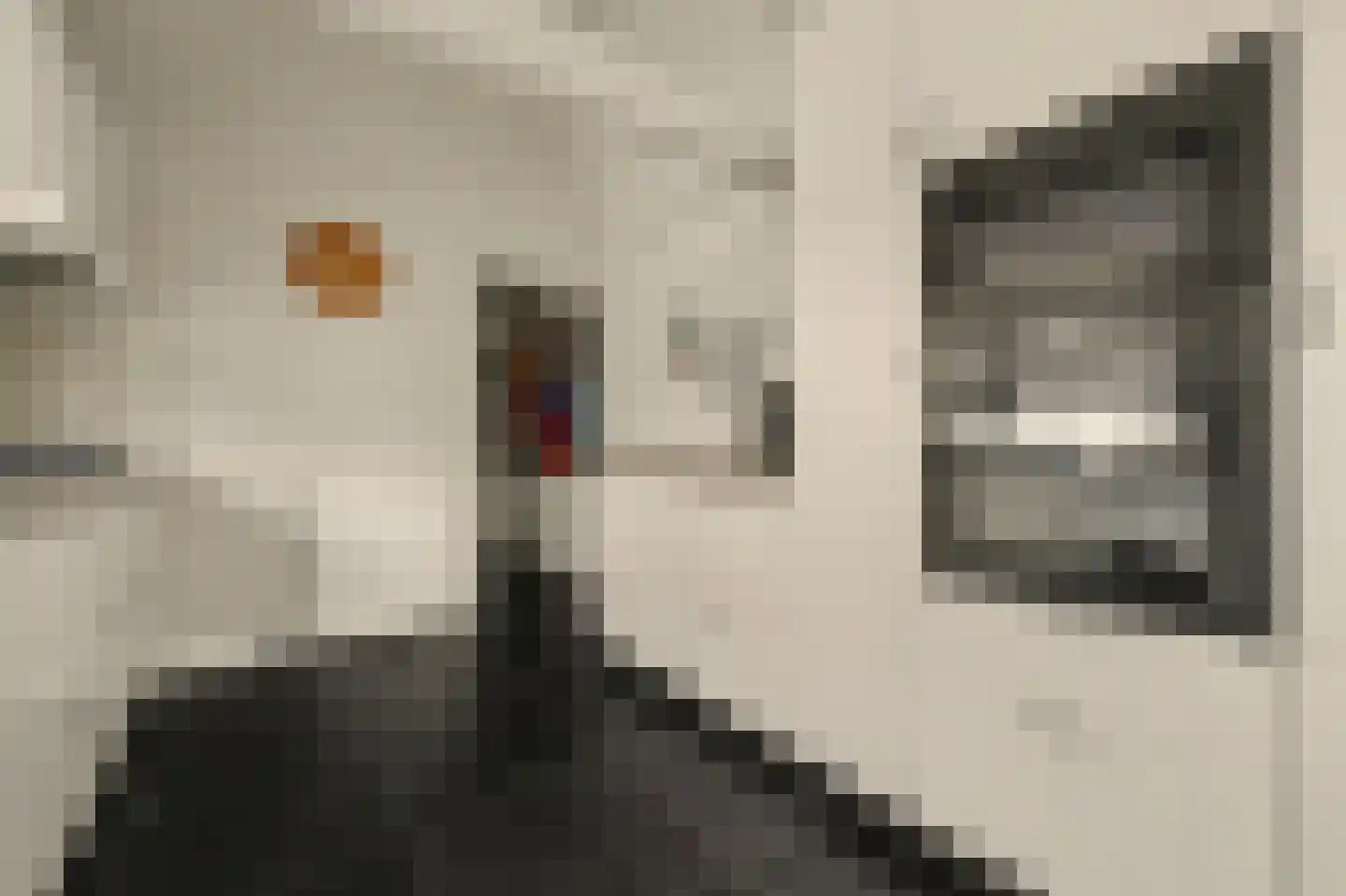van Randwijckstraat 32 Yerseke thumbnail 21