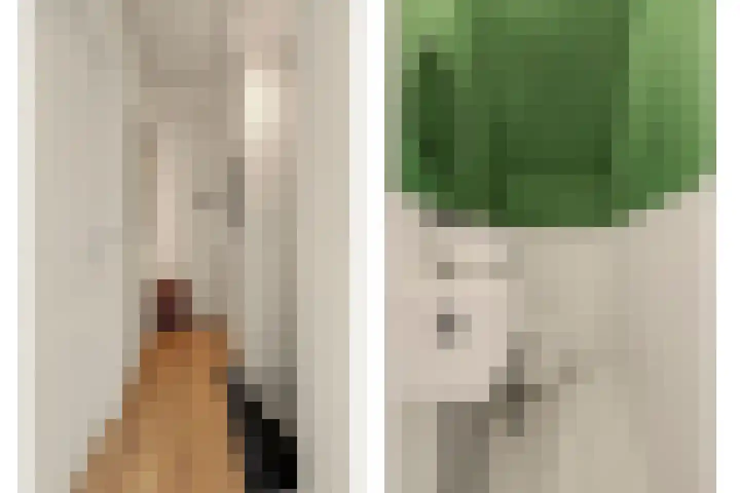 van Randwijckstraat 32 Yerseke thumbnail 24