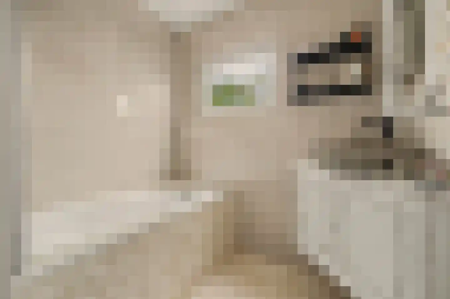 van Randwijckstraat 32 Yerseke thumbnail 32