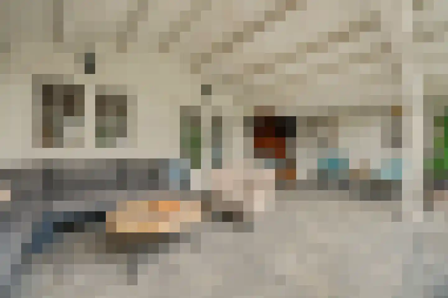 van Randwijckstraat 32 Yerseke thumbnail 36