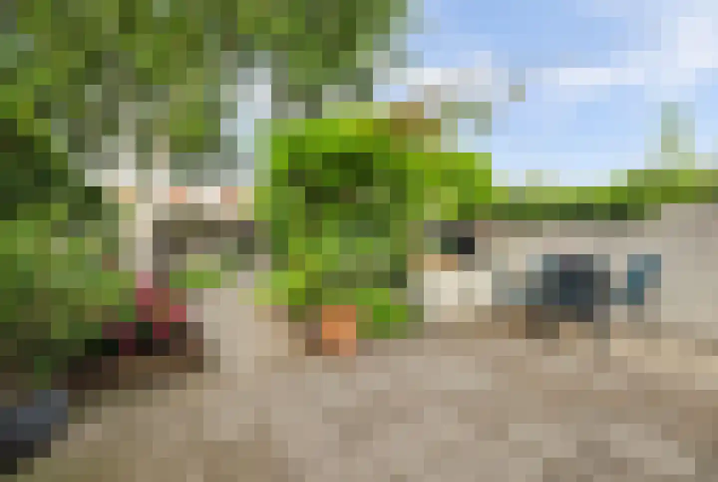 van Randwijckstraat 32 Yerseke thumbnail 39