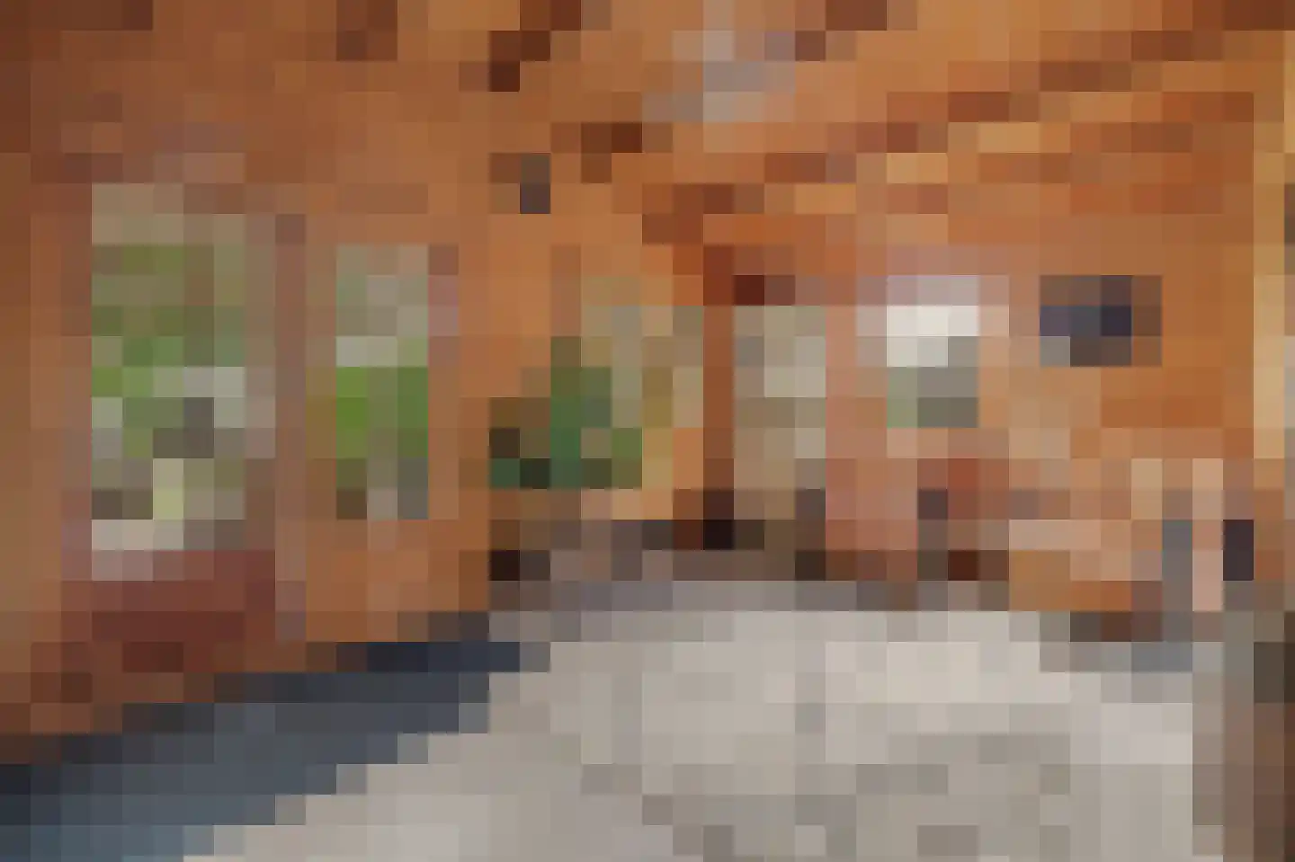 van Randwijckstraat 32 Yerseke thumbnail 43