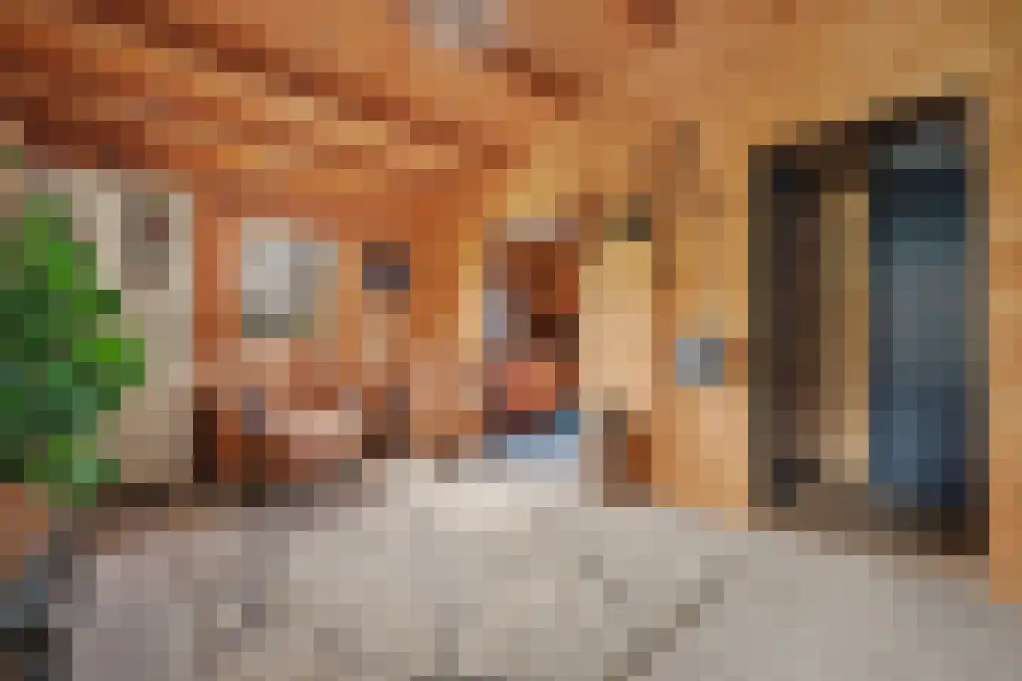 van Randwijckstraat 32 Yerseke thumbnail 44