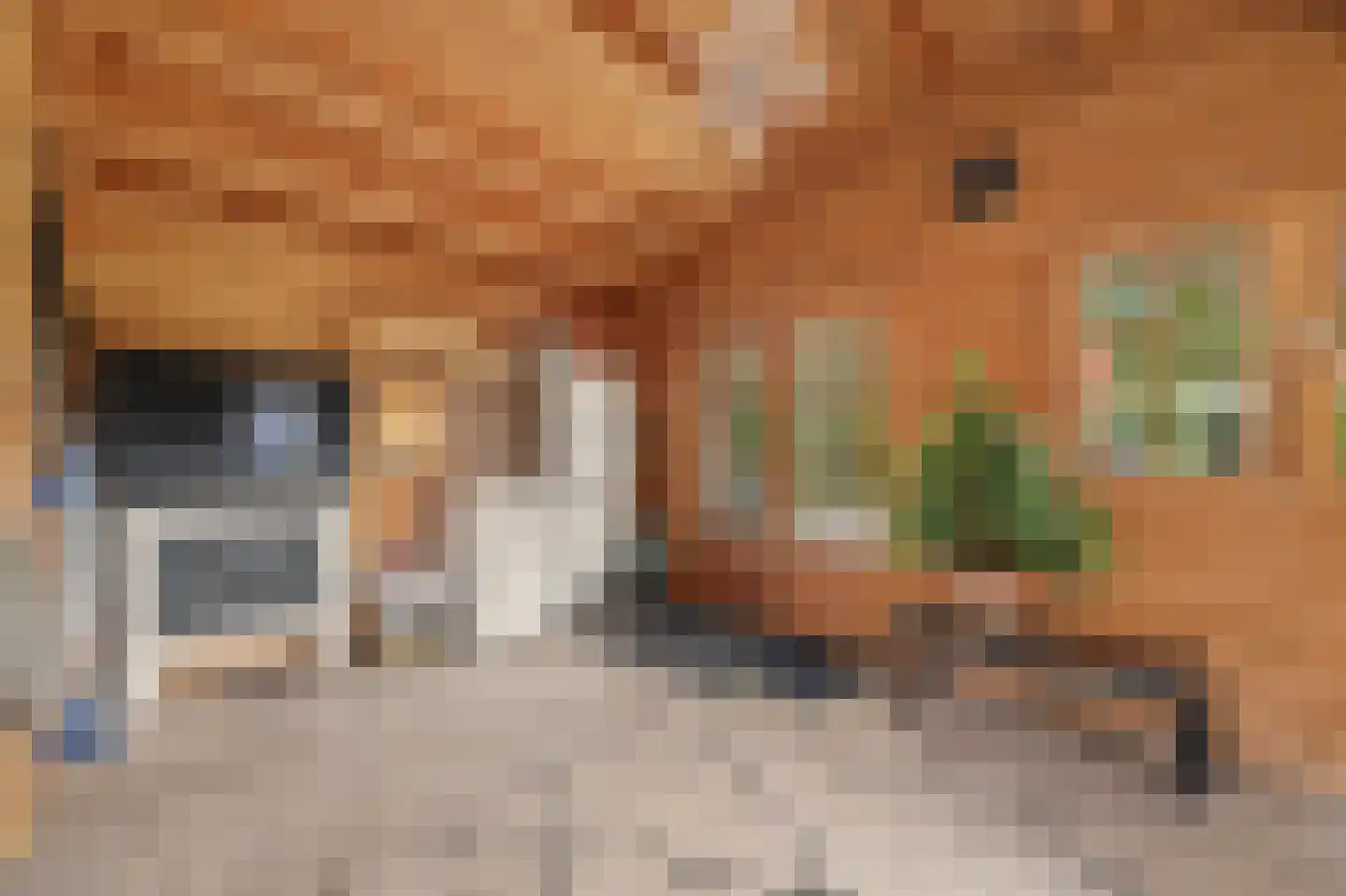 van Randwijckstraat 32 Yerseke thumbnail 45