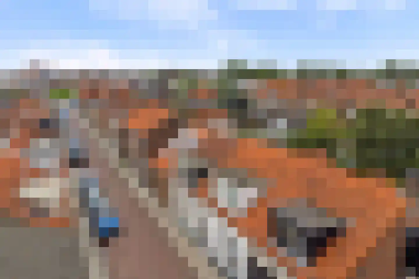 van Randwijckstraat 32 Yerseke thumbnail 46